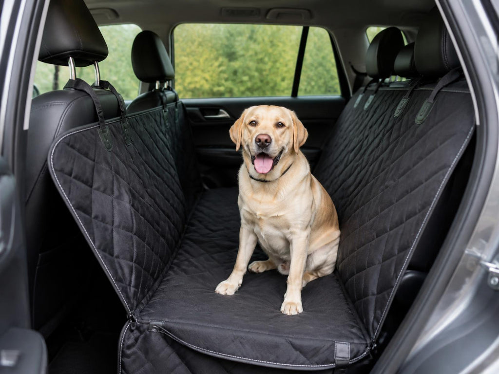 Hammock fitted across a car back seat with a labrador
