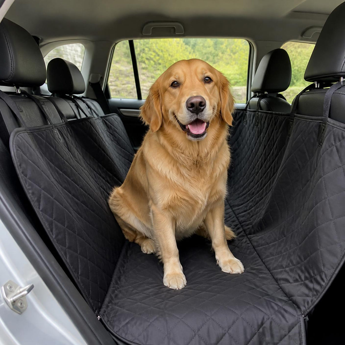 Dog sitting on the car hammock